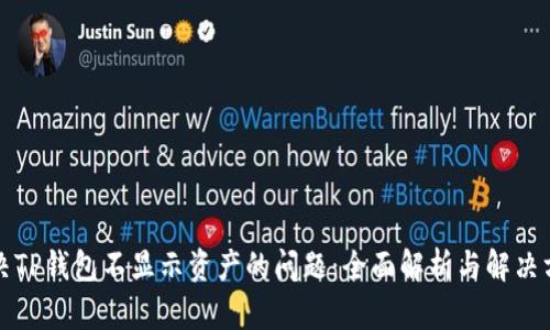 解决TP钱包不显示资产的问题：全面解析与解决方案