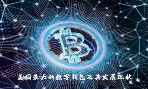 美国最大的数字钱包及其发展现状
