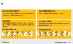 美国最大的数字钱包及其