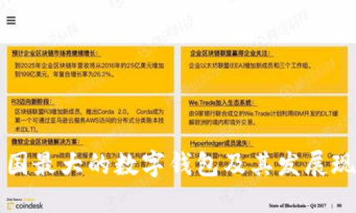 美国最大的数字钱包及其发展现状