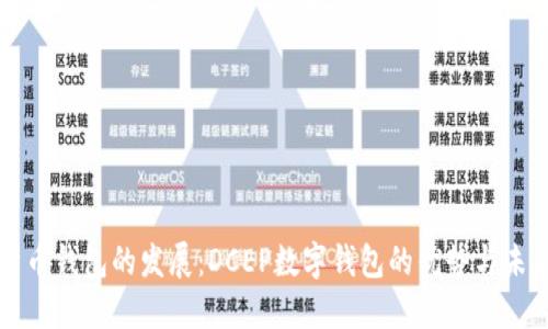 数字货币钱包的发展：DCEP数字钱包的优势与未来展望