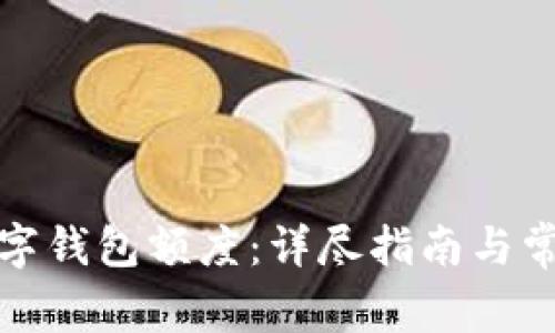 如何升级数字钱包额度：详尽指南与常见问题解答