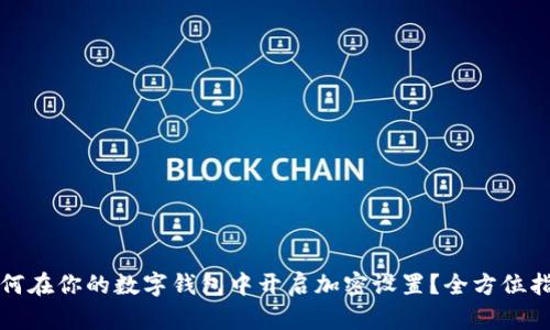 如何在你的数字钱包中开启加密设置？全方位指南