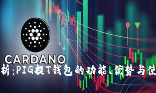 全面解析：PIG提T钱包的功能、优势与使用指南