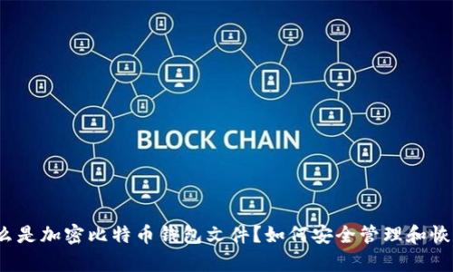 什么是加密比特币钱包文件？如何安全管理和恢复？