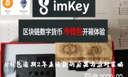 U钱包逾期2年未还款的后果与应对策略