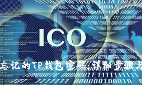 如何找回忘记的TP钱包密码：详细步骤与实用指南