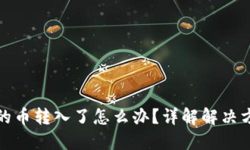 TP钱包不支持的币转入了怎么办？详解解决方案与应对策略