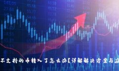 TP钱包不支持的币转入了怎