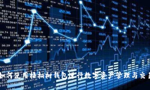 如何使用梧桐树钱包进行数字资产管理与交易