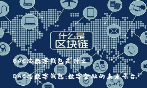 BAC芯数字钱包是什么

BAC芯数字钱包：数字金融的未来平台