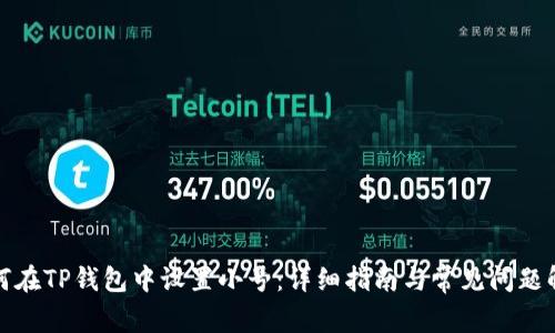 如何在TP钱包中设置小号：详细指南与常见问题解答