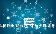 如何将SHIB提取到TP钱包：
