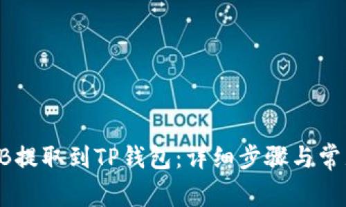 如何将SHIB提取到TP钱包：详细步骤与常见问题解答