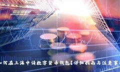如何在上海申请数字货币