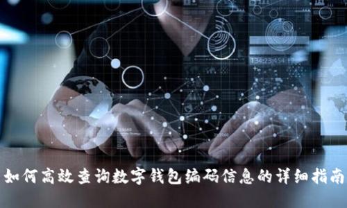 如何高效查询数字钱包编码信息的详细指南