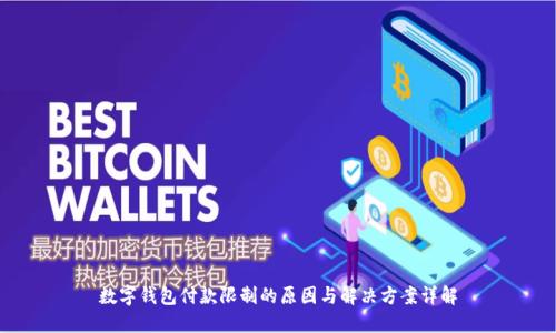 数字钱包付款限制的原因与解决方案详解