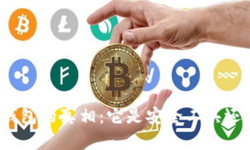 揭秘区块链钱包的真相：它是安全工具还是潜在病毒？