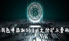如何在TP钱包中添加BNB以支