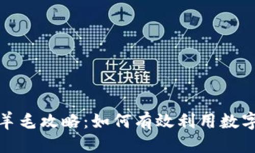 思考

温州数字钱包羊毛攻略：如何有效利用数字钱包获取优惠