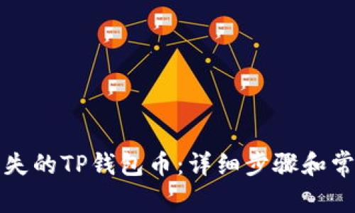 如何找回丢失的TP钱包币：详细步骤和常见问题解析