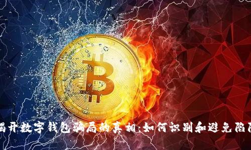 揭开数字钱包骗局的真相：如何识别和避免陷阱