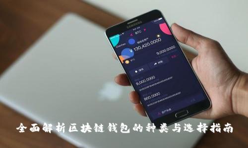 全面解析区块链钱包的种类与选择指南
