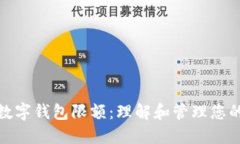 企业银行数字钱包限额：