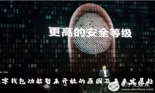 数字钱包功能暂未开放的原因及未来发展趋势