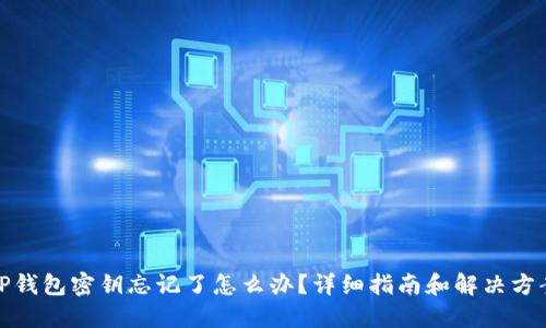 TP钱包密钥忘记了怎么办？详细指南和解决方案