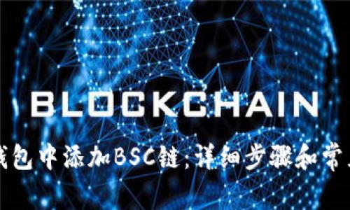 如何在TP钱包中添加BSC链：详细步骤和常见问题解答