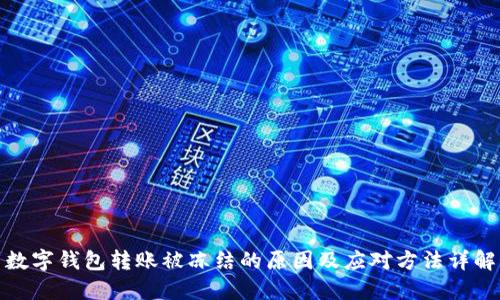 数字钱包转账被冻结的原因及应对方法详解