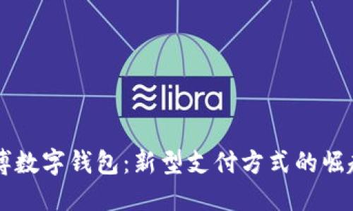 山东淄博数字钱包：新型支付方式的崛起与应用