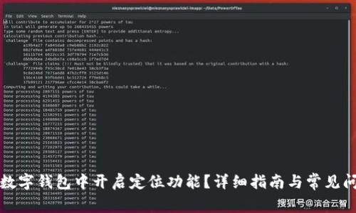 如何在数字钱包中开启定位功能？详细指南与常见问题解答
