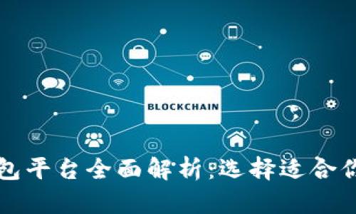 中国数字钱包平台全面解析：选择适合你的支付工具