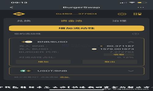 TP钱包转错币怎么办？快速找回资金的解决方案