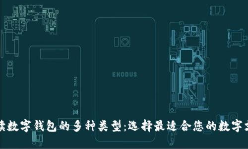 全面解读数字钱包的多种类型：选择最适合您的数字支付工具
