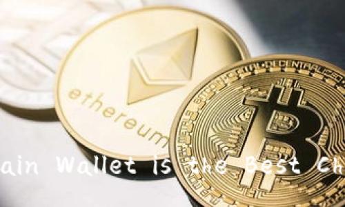 Which Blockchain Wallet is the Best Choice for You?