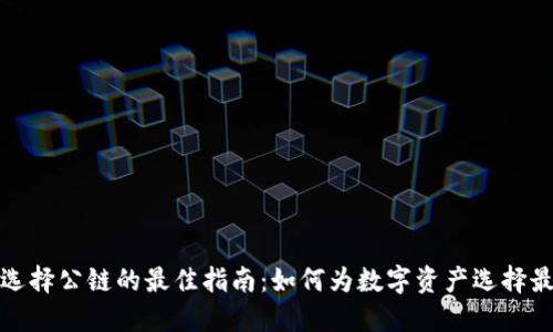 TP钱包选择公链的最佳指南：如何为数字资产选择最优链条