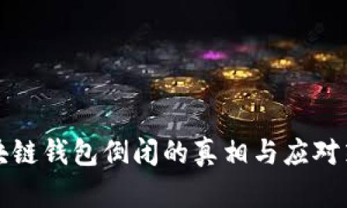 区块链钱包倒闭的真相与应对策略