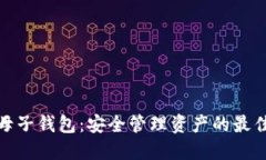 数字货币母子钱包：安全