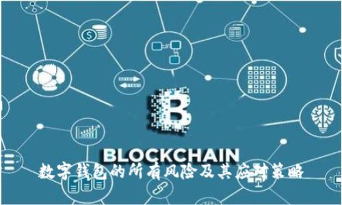 数字钱包的所有风险及其应对策略