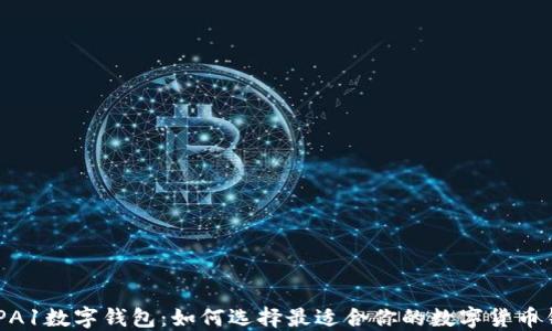 
DCEPA1数字钱包：如何选择最适合你的数字货币钱包？