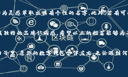 个性数字钱包名字大全男：展现个性与风格的数字增值之选

数字钱包, 个性名字, 男性钱包名字/guanjianci

引言
在这个数字化迅速发展的时代，越来越多的人选择使用数字钱包来管理自己的财务。不仅因为它为我们提供了便利和安全性，更因为它能够反映出持有者的个性。特别是男性，他们在选购数字钱包时，往往希望这个钱包名字能够传达出他们的风格、兴趣或个性。因此，接下来我们将探索一系列适合男性的个性数字钱包名字，帮助你找到一个能代表你的独特风格的名字。

个性数字钱包的重要性
个性化的数字钱包不仅是一个实用的工具，它还承载了用户的身份和价值观。选择一个个性化的名字，可以让它在众多数字钱包中脱颖而出，让使用者感到更为亲切。这样的名字能在商讨或分享时引发更多的共鸣，甚至可能成为引发话题的焦点。

选择个性数字钱包名字的考虑因素
在为数字钱包起名时，有几个关键因素需要考虑。首先，它需要，因为太过复杂的名字容易让人误记或者无法传播。其次，名字应该有一定的个性，能够传达出持有者的特质或情感。同时，文化的关联性也是一个重要因素，一些名字可能因为文化元素而产生深层次的情感共鸣。最后，确保这个名字没有被其他品牌或产品使用，从而避免未来可能的法律问题。

个性数字钱包名字推荐
以下是一些特别适合男性的个性数字钱包名字，供你参考：

ul
  listrong利剑钱包/strong - 别致而又充满力量感的名字，暗示持有者的果敢与精明。/li
  listrong阳刚侠/strong - 这个名字传达出一种英雄气概，同时也展现出阳光的活力。/li
  listrong智者之财/strong - 寓意着智慧和人生经验，让人感觉稳重与深邃。/li
  listrong风暴骑士/strong - 一个充满冒险精神和活力的名字，适合那些热爱挑战的人。/li
  listrong神秘钱包/strong - 带有一点悬疑感，吸引他人的好奇心。/li
  listrong完美掌控/strong - 凸显掌握财务的能力，非常适合那些精明的商业人士。/li
  listrong潮流先锋/strong - 适合追求新潮流、总是走在时尚前沿的人。/li
  listrong极致品味/strong - 强调其用户的优雅与高雅，展现与众不同的气质。/li
  listrong掌中宝/strong - 暗示这个数字钱包是极其珍贵的存在，体现出用户对财务的珍视。/li
  listrong隐士钱包/strong - 对于那些更喜欢低调与独处的人来说，这个名字非常符合其特质。/li
/ul

品牌个性与社会文化的结合
在命名过程中，品牌个性与社会文化的结合也是一个不可忽视的方面。许多数字钱包的名字会受到流行文化、文学、历史或地域特点的影响。例如，借助古典名著中的人物或象征，可以为钱包赋予更深层的文化价值。在这种情况下，命名者不仅仅是在给钱包命名，更是在构建一种文化符号，让钱包本身成为一种生活态度的体现。

如何选择最适合自己的名字
在面对众多选择的时候，选择一个最适合自己的名字可能并不简单。首先，可以考虑列出一些个人特质、兴趣和价值观，然后从中提炼出几个关键词。接着，用这些关键词作为灵感萃取出具有个性的名字。此外，若有可能，向朋友或者家人征求意见，听听他们的想法和感受，有时外在的反馈能够帮助你更好地审视这个名字的合适性。

总结
随着数字化时代的到来，数字钱包不仅仅是一个简单的支付工具，更是展现个人风格和社会认同的重要载体。选择一个个性化的名字，能够帮助用户更好地表达自己，形成独特的品牌认同感。希望以上的推荐能够为每一位男性用户在寻找个性数字钱包名字时，提供一些启发和帮助。在这个方面勇于尝试，总能找到一个最符合自己风格的名字，成为自己理财生活中不可或缺的一部分。

后记
起一个好的数字钱包名字，不仅是对自己个性的塑造，更是对生活态度的一种表达。希望每位用户都能在这个过程中找到灵感，享受数字化带来的便捷与乐趣。在未来的日子里，愿你的数字钱包常伴左右，无论遇到何种挑战，都能轻松应对，实现财富的增长与生活的精彩。

通过以上内容，相信读者能够对如何选择一个个性化的数字钱包名字有更清晰的理解，愿大家都能找到最适合自己的那一个！