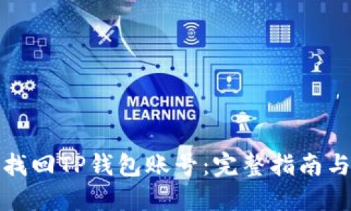 如何找回TP钱包账号：完整指南与技巧