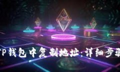 如何在TP钱包中复制地址：