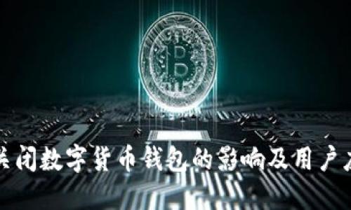 支付宝关闭数字货币钱包的影响及用户应对策略