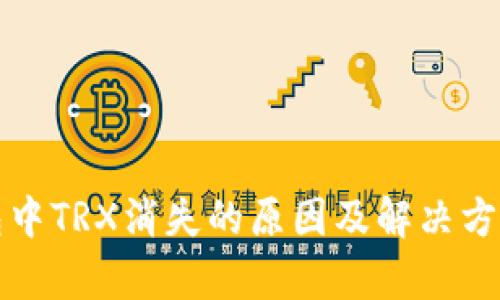 TP钱包中TRX消失的原因及解决方法分析