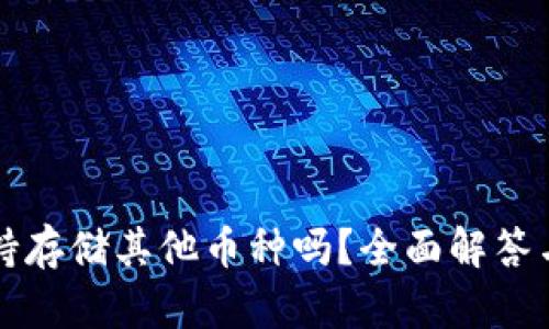 TP钱包支持存储其他币种吗？全面解答与使用指南