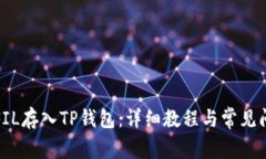 如何将FIL存入TP钱包：详细教程与常见问题解答
